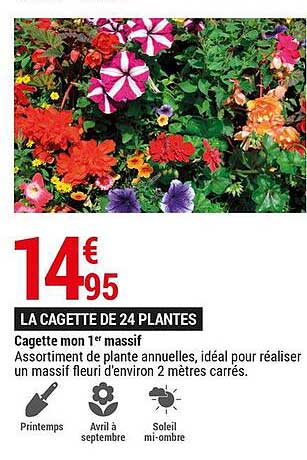 cagette mon 1er massif