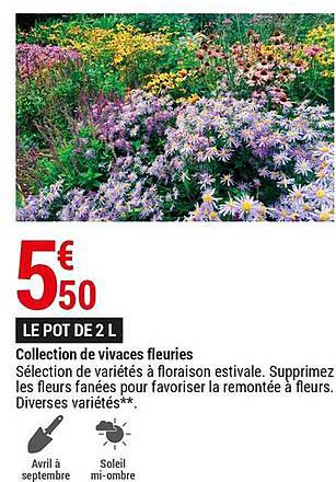 collection de vivaces fleuries