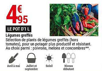 légumes greffés