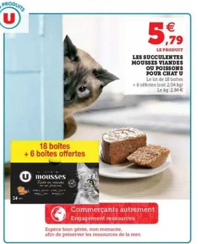 Les Succulentes Mousses Viandes Ou Poissons Pour Chat U