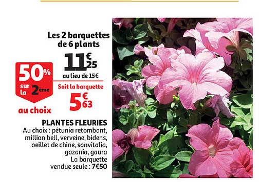 plantes fleuries