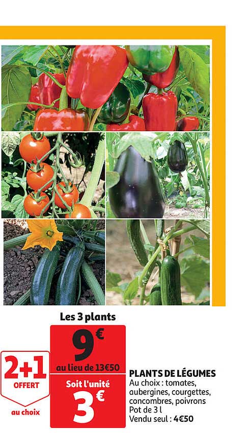 plants de légumes