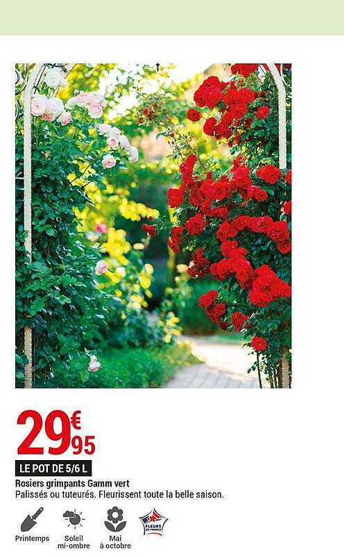 rosiers grimpants gamm vert