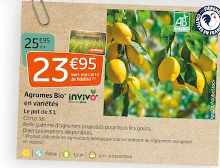 agrumes bio en variétés invivo nous on sème