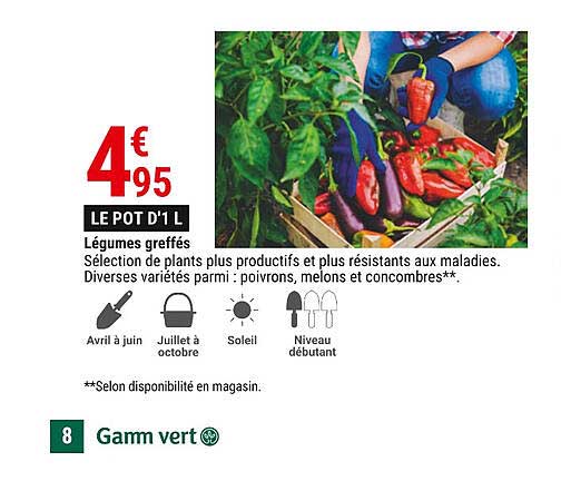légumes greffés