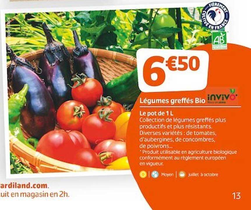 légumes greffés bio invivo nous on sème