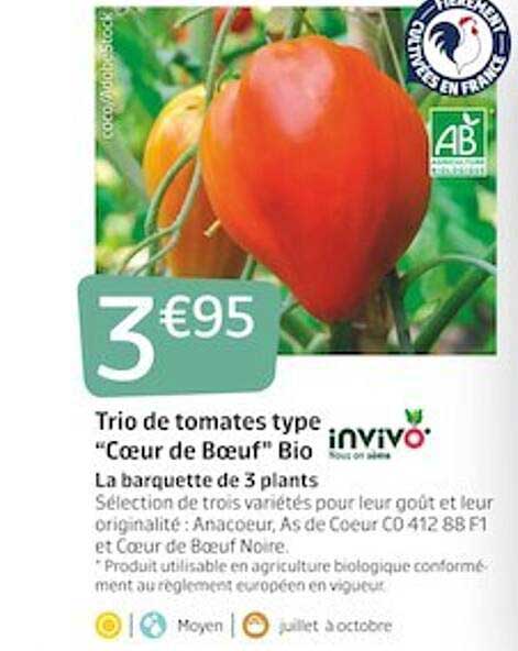 trio de tomates type "cœur de bœuf" bio invivo nous on sème