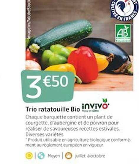 trio ratatouille bio invivo nous on sème