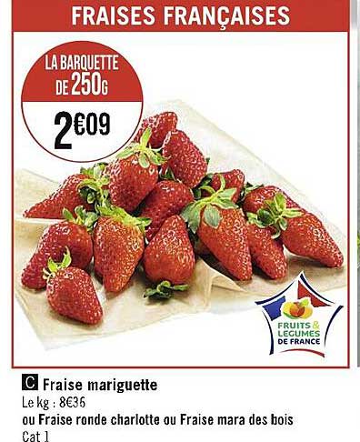 fraise gariguette ou fraise ronde charlotte ou fraise mara des bois