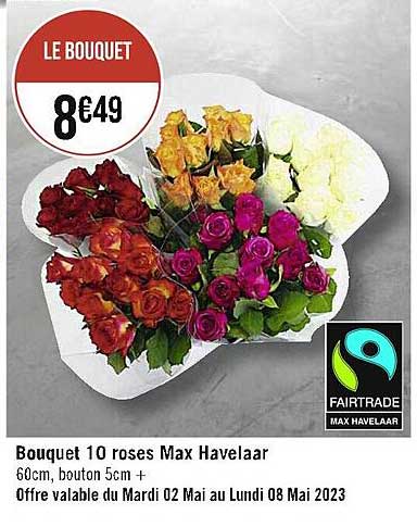 Bouquet 10 Roses Max Havelaar