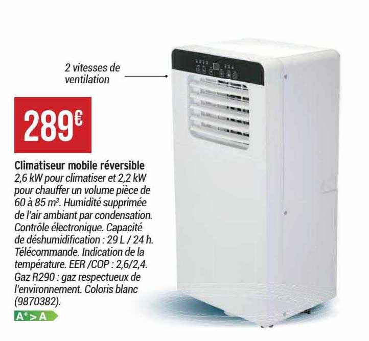 Climatiseur Mobile Réversible