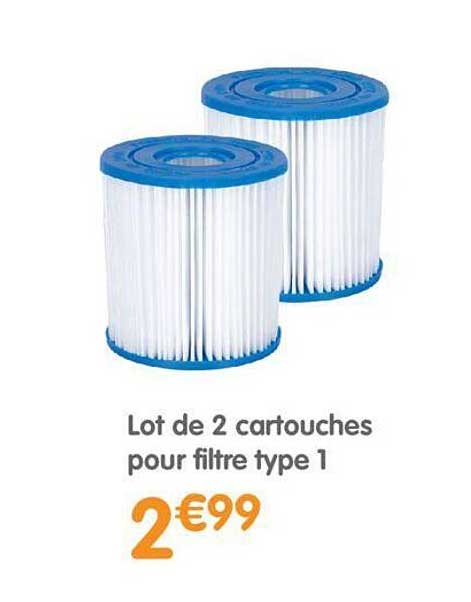 lot de 2 cartouches pour filtre type 1