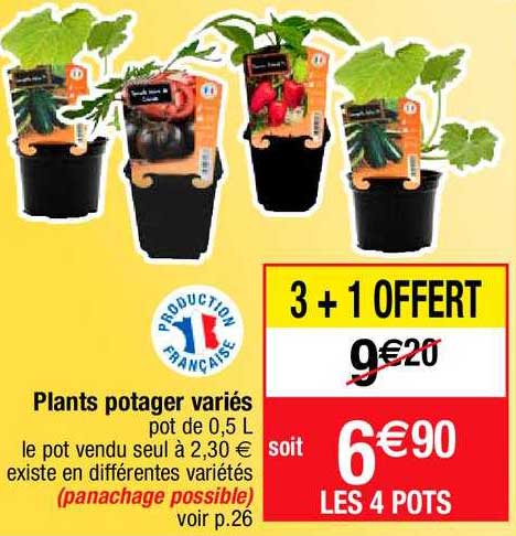 Plants Potager Variés