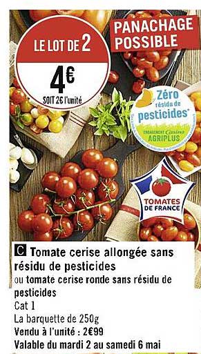 tomate cerise allongée sans résidu de pesticides