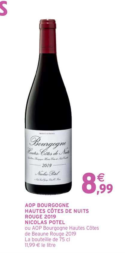 aop bourgogne hautes côtes de nuits rouge 2019 nicolas potel