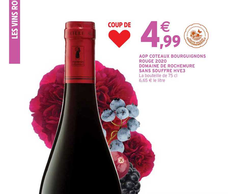 Aop Coteaux Bourguignons Rouge 2020 Domaine De Rochemure Sans Souffre Hve3