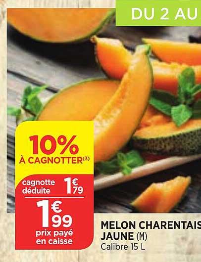 Melon Charentais Jaune