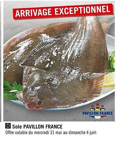 sole pavillon france