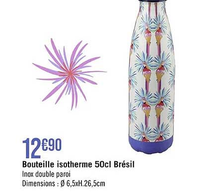 Bouteille Isotherme 50cl Brésil