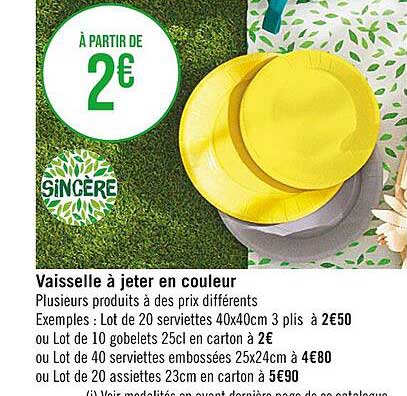 vaisselle à jeter en couleur sincère