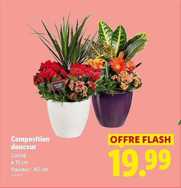 Composition douceur