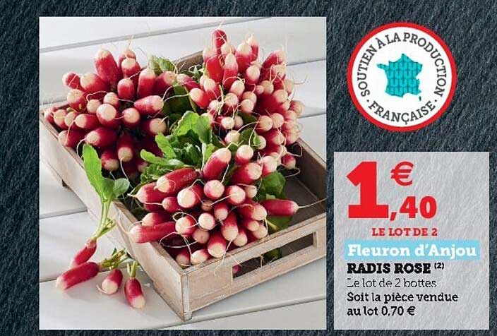 radis rose fleuron d'anjou