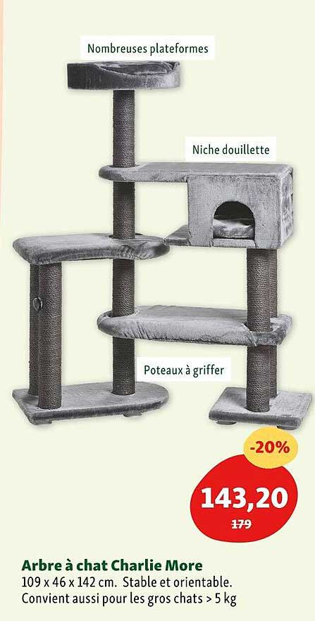 arbre à chat charlie more