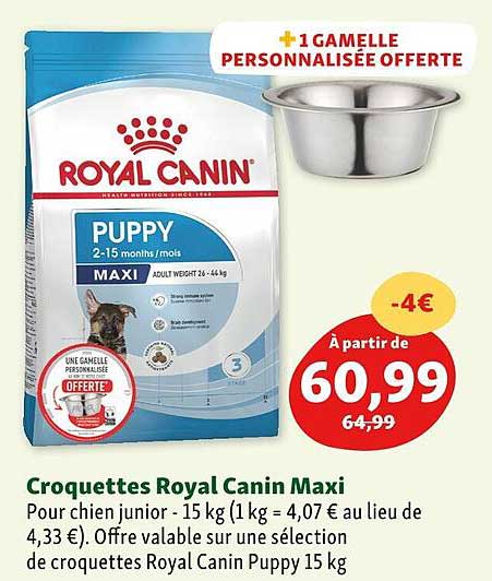 croquettes royal canin maxi