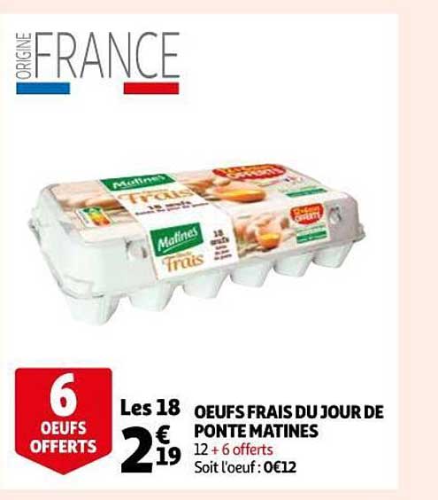 oeufs frais du jour de ponte matines