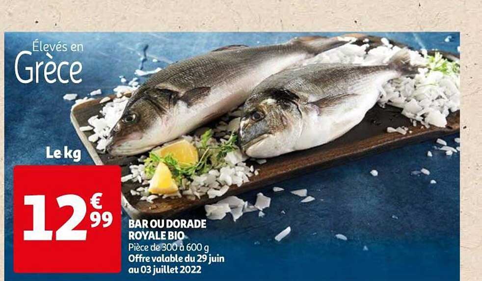 Bar Ou Dorade Royle Bio