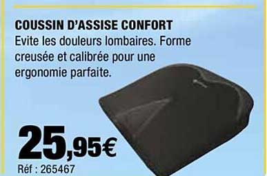 coussin d'assise confort