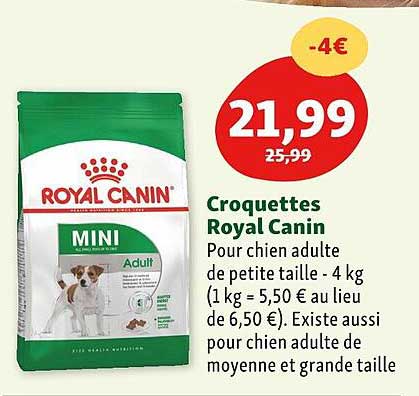 Croquettes Royal Canin