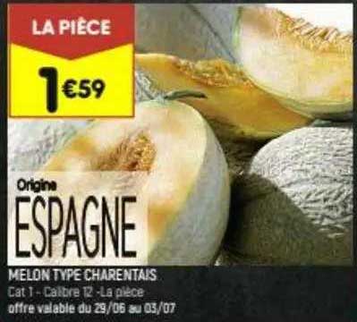 melon type charentais