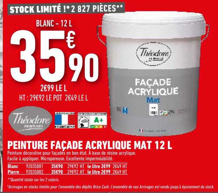 peinture façade acrylique mat 12l théodore