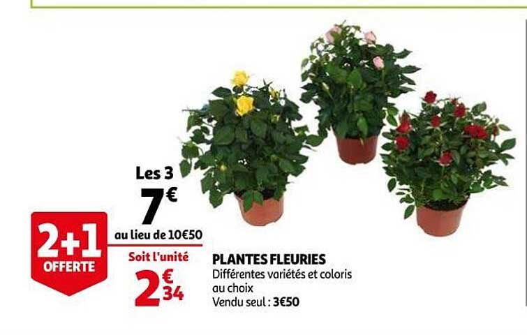 plantes fleuries