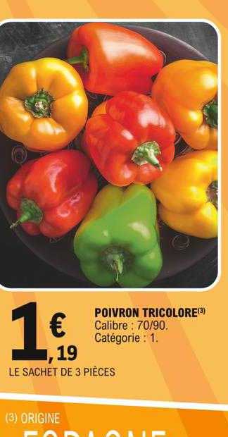 Poivron Tricolore