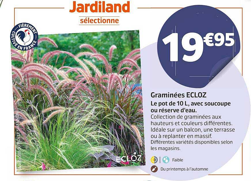 Graminées Ecloz
