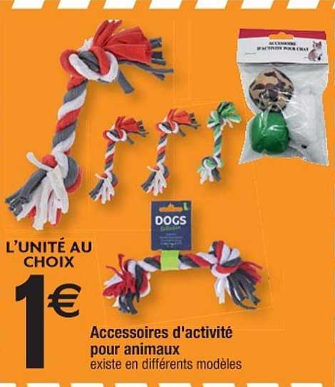 accessoires d'activité pour animaux