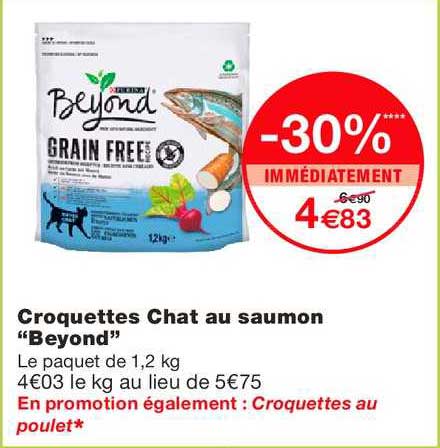 croquettes chat au saumon beyond grain free