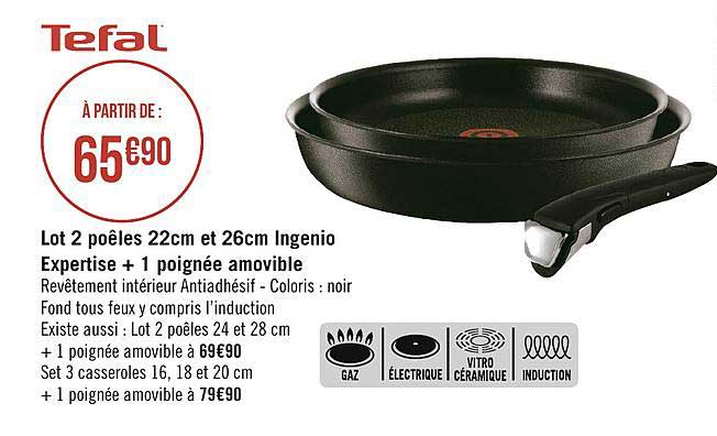 lot 2 poêles 22cm et 26cm ingenio expertise + 1 poignée amovible tefal