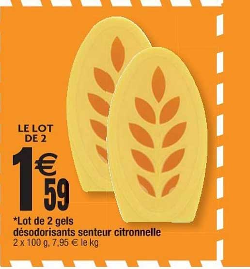 lot de 2 gels désodorisants senteur citronnelle