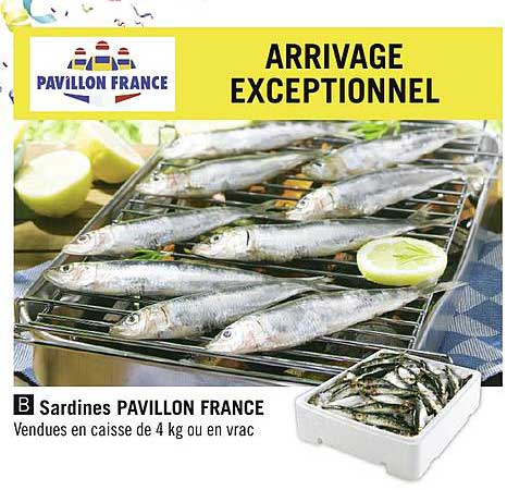 sardines pavillon france