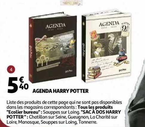 agenda harry potter