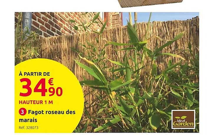 fagot roseau des marais