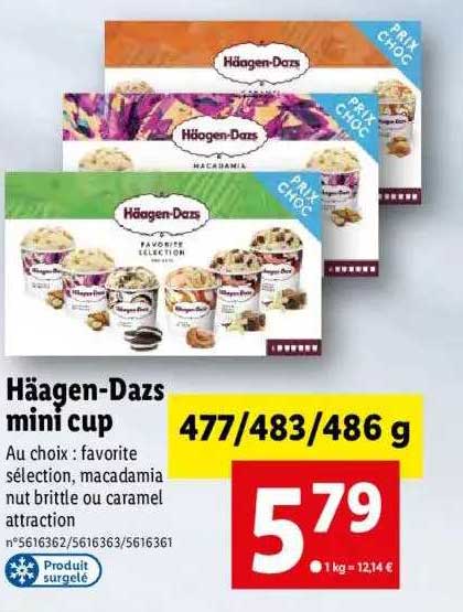 häagen-dazs mini cup