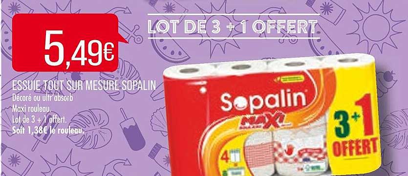 essuie tout sur mesure sopalin