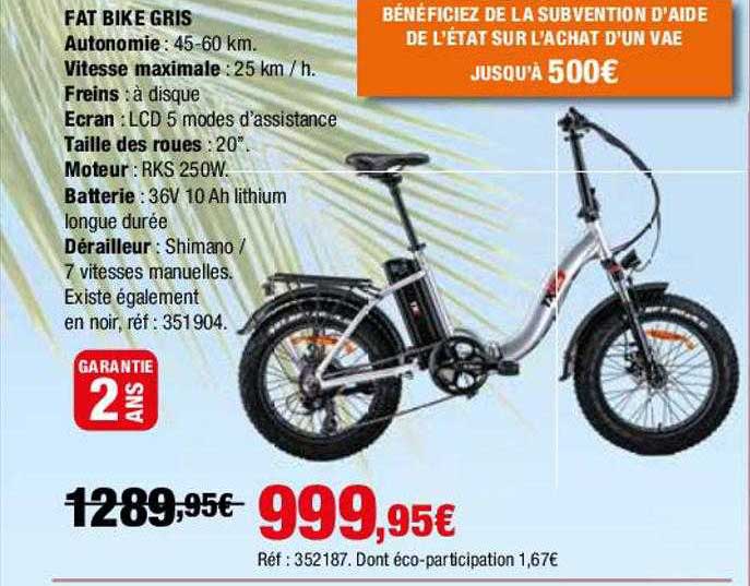 fat bike gris