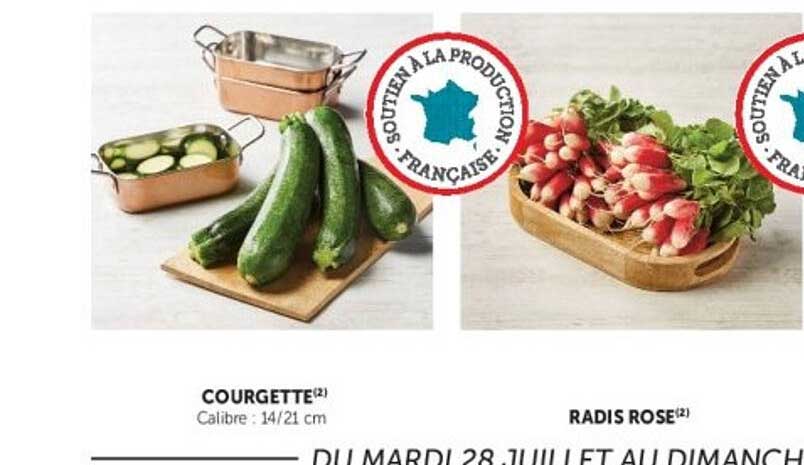 COURGETTE RADIS ROSE