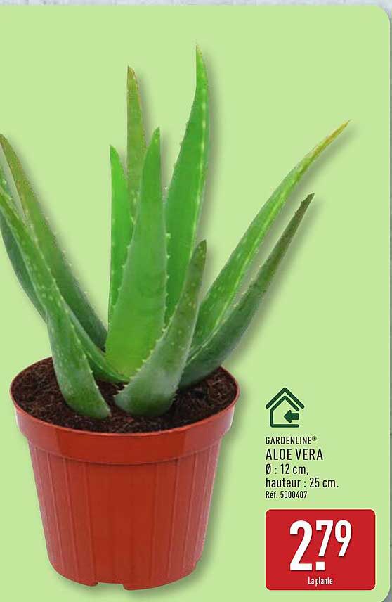 GARDENLINE ALOE VERA