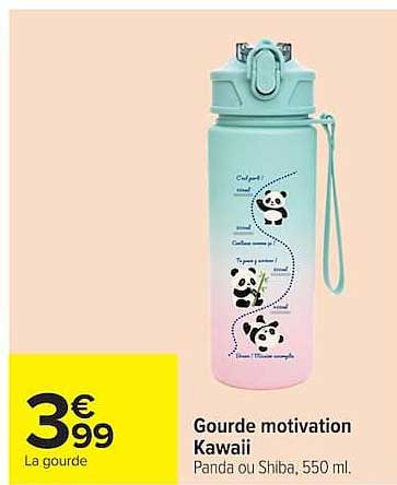 Gourde motivation Kawaii